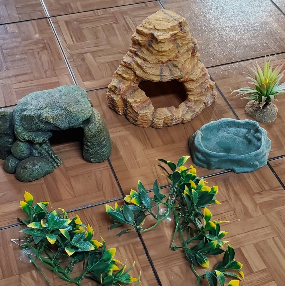 Reptile a accessories.